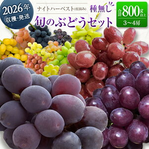 yӂ邳Ɣ[ŁzmEƒpnuhE 2026NnE iCgn[xXg(E)w{̎햳ԂǂZbgx v800gȏ 3`4[  lC uhE t[c ʕ