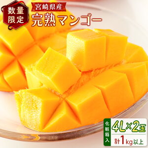 yӂ邳Ɣ[Łzʌ聄{茧Y n}S[4L×2ʁiv1kgȏj2026N4{zJn ϔ t[c 