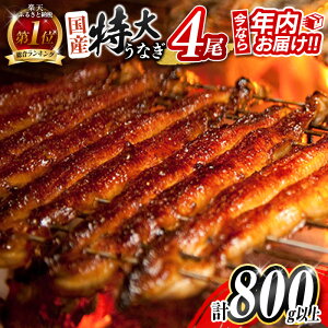 yӂ邳Ɣ[ŁzLO1ʊl! _r[Ly[{^ȂN͂!! Ȃ Vy Y  4 v800gȏ  ]  Ⓚ ȒP  V 