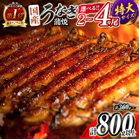 期間限定 ご自宅用 グルメ プレゼント うな重 うな丼 ごはん おかず 産...