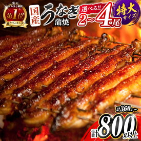 【ふるさと納税】総合ランキング1位獲得!＜選べる!!尾数＆配送月＞うなぎ 鰻楽 国産 特大4尾 2尾 3尾 蒲焼 無頭 高評価 人気 おすすめ 冷凍 簡単調理 個包装 鰻 魚介 贈答品 ギフト 贈り物