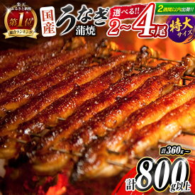 【ふるさと納税】総合1位獲得!＜2週間以内に出荷＞ 選べる!!尾数＆配送月 うなぎ 鰻楽 国産 特大4尾 2尾 3尾 蒲焼 無頭 高評価 人気 おすすめ 冷凍 簡単調理 個包装 鰻 魚介 贈答品 ギフト 贈り物