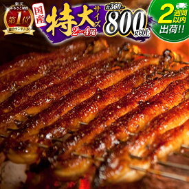 【ふるさと納税】総合1位獲得!＜2週間以内に出荷＞ 選べる!!尾数＆配送月 うなぎ 鰻楽 国産 特大4尾 2尾 3尾 蒲焼 無頭 高評価 人気 おすすめ 冷凍 簡単調理 個包装 鰻 魚介 贈答品 ギフト 贈り物