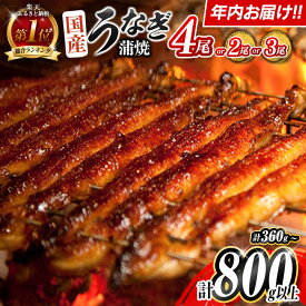【ふるさと納税】総合ランキング1位獲得!＜今なら年内お届け!!＞選べる 尾数 配送月 うなぎ 鰻楽 国産 蒲焼 4尾 2尾 3尾 無頭 高評価 おすすめ 冷凍 簡単調理 個包装 鰻 魚介 贈答品 ギフト 贈り物