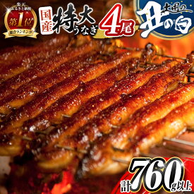 【ふるさと納税】総合ランキング1位獲得!＼レビューキャンペーン実施中／［丑の日までにお届け!! ］特大 うなぎ 鰻楽 国産 蒲焼 4尾 人気 無頭 計760g以上 高評価 おすすめ 冷凍 簡単調理 個包装 鰻 魚介 贈答品 ギフト 贈り物