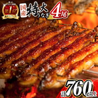 選べる配送!! 支援 グルメ プレゼント うな重 うな丼 ごはん おかず ...