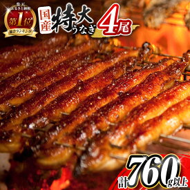 【ふるさと納税】総合ランキング1位獲得!＼レビューキャンペーン実施中／特大 うなぎ 鰻楽 国産 蒲焼 4尾 人気 無頭 計760g以上 高評価 おすすめ 冷凍 簡単調理 個包装 鰻 魚介 贈答品 ギフト 贈り物
