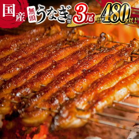 【ふるさと納税】＼レビューキャンペーン実施中／＜高評価!!＞うなぎ 鰻楽 国産 蒲焼 3尾 人気 無頭 計480g以上 おすすめ 冷凍 簡単調理 個包装 鰻 魚介 贈答品 ギフト 贈り物