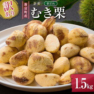 yӂ邳Ɣ[Łz󂠂聄Ԍ Y VNǂiނIj1.5kg Yn  I {茧VxY
