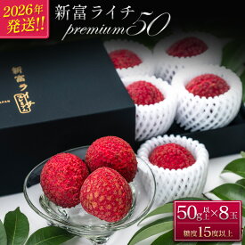 【ふるさと納税】［2026年発送］先行予約 希少！国産＜新富ライチpremium50＞50g以上×8玉 国産 ブランド フルーツ 果物 贈答品