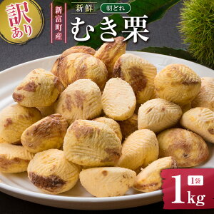 yӂ邳Ɣ[Łz󂠂聄Ԍ Y VNǂiނIj1kg Yn  I {茧VxY