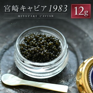 yӂ邳Ɣ[Łz{LrA1983 v12g i   Y