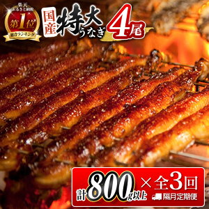 yӂ邳Ɣ[Łzy15tIzʌ聄 Ȃ  Y V  4Zbg S3 uցi2026N1 3 5͂j1200g!! v2.4kgȏ  i Mtg EiM 