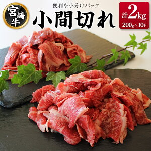 yӂ邳Ɣ[Łz{苍 Ԑ؂ ֗ȏ 200g×10P v2kg lC Ⓚ Y