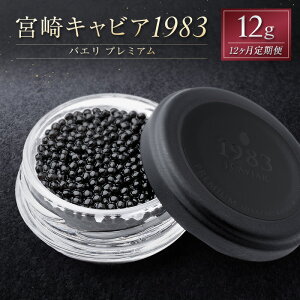 yӂ邳Ɣ[Łzm12ցn{LrA1983 oG v~A 12g ×v12 i   Y