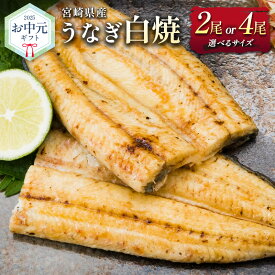 【ふるさと納税】お中元対応「玄人の一品」うなぎ 白焼き ギフト 宮崎県産鰻 蒲焼きタレ付 配送日指定可 国産 有頭 熨斗 贈答品