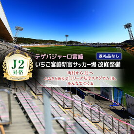 【ふるさと納税】＜寄附のみ＞ 返礼品なし いちご宮崎新富サッカー場 改修整備 1口 30,000円 J2昇格 テゲバジャーロ宮崎 サッカー Jリーグ J2 スポーツ 社会貢献 地域活動 応援寄附 ファン サポーター