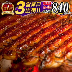 【ふるさと納税】2冠!総合＆ジャンル1位!! ＜最短翌日出荷＞うなぎ 鰻楽 国産 特大4尾 2尾 3尾 3営業日以内出荷 土用 丑の日 蒲焼 無頭 高評価 人気 おすすめ 冷凍 簡単調理 個包装 鰻 魚介 贈答品 スピード便（最短翌日～3営業日以内出荷）［選べる!!数量＆配送期間］