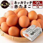 ＜児湯養鶏自慢の卵＞ネッカリッチ赤たまご「児湯一番」20個 1箱
