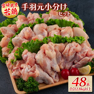 yӂ邳Ɣ[Łz{HZbg48{ v2.8kgȏ Y