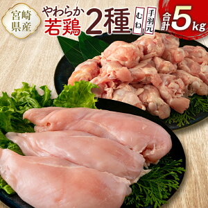 yӂ邳Ɣ[Łz{茧Y{ 炩{2iނˁEHjv5kg