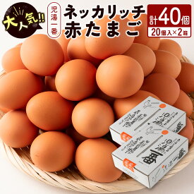 【ふるさと納税】＼レビューキャンペーン実施中／＜児湯養鶏自慢の卵＞ネッカリッチ赤たまご「児湯一番」計40個（20個入×2箱）