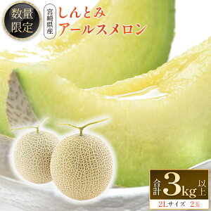 yӂ邳Ɣ[Łzʌ聄Ƃ݃A[X 2L2 v3kgȏ s\ Y t[c ʕ {茧Y