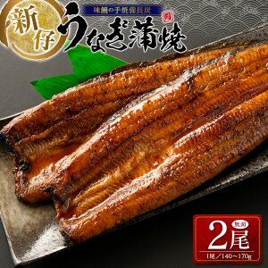 yӂ邳Ɣ[ŁzVe!!V̖{iĔY2pElΉ{茧YȂ