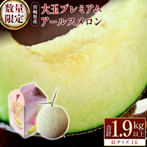 yӂ邳Ɣ[Łzʌ聄 v~AA[X 4L1 Gi 1.9kgȏ s\ Y  ϔ {茧Y