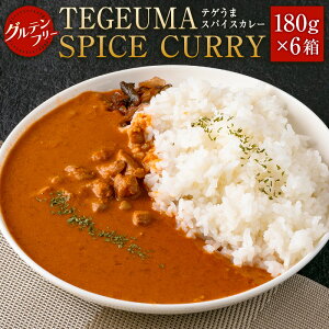 yӂ邳Ɣ[Łz_r[Ly[{^Oet[ `LJ[ TEGEUMA SPICE CURRYieQ܃XpCXJ[j180g×6