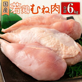【ふるさと納税】国産若鶏むね肉 合計6kg 鶏肉 九州産