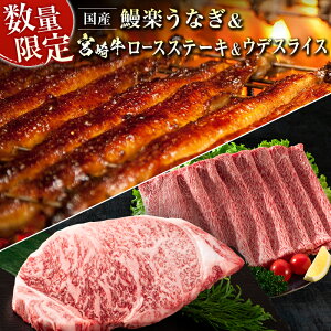 yӂ邳Ɣ[ŁzVy Y Ȃ 1 & {苍 [XXe[L 1 250g  {苍 Ef XCX 500g yp N̓ BBQ  
