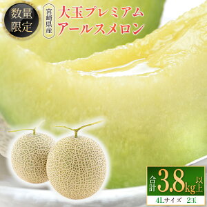 yӂ邳Ɣ[Łzʌ聄ʃv~AA[X 4L2 Gi v3.8kgȏ s\ Y {茧Y