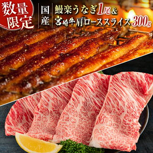 yӂ邳Ɣ[ŁzVy Y Ȃ 1 140g  {苍 [X XCX 300g Y    