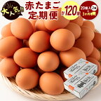 ＜児湯養鶏自慢の卵＞ネッカリッチ赤たまご「児湯一番」 計120個 （20個入×2箱）×3か月定期便