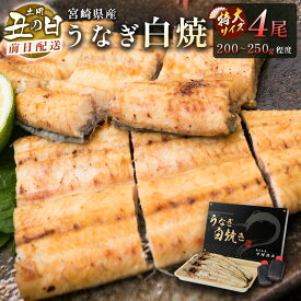 【ふるさと納税】前日配送予約［土用丑の日］うなぎ白焼きギフト 4尾（200～250g/1尾あたり）宮崎県産鰻 蒲焼きタレ付（50ml×2本）