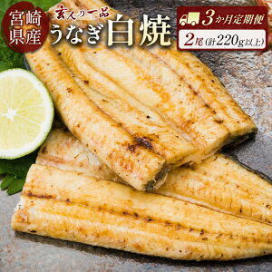 yӂ邳Ɣ[Łzl̈iȂ 110g`150gx×2 3 3 yցz v6 Ve Ă {BȂ V EiM Y {茧Y Ⓚ ① 