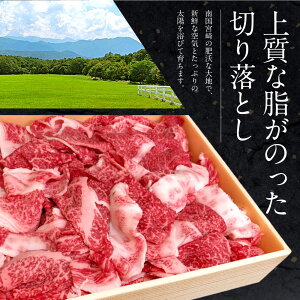 【ふるさと納税】JAこゆ牛(宮崎和牛)<A4等級以上切落し1,000g>牛肉特産品宮崎県新富町【冷凍】