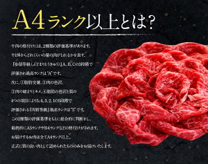 【ふるさと納税】JAこゆ牛(宮崎和牛)<A4等級以上切落し1,000g>牛肉特産品宮崎県新富町【冷凍】