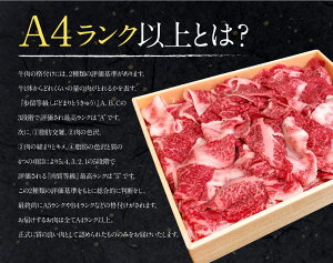 【ふるさと納税】JAこゆ牛(宮崎和牛)<A4等級以上切落し1,000g>牛肉特産品宮崎県新富町【冷凍】
