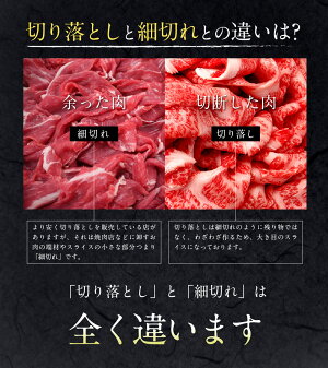 【ふるさと納税】JAこゆ牛(宮崎和牛)<A4等級以上切落し1,000g>牛肉特産品宮崎県新富町【冷凍】