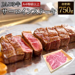 yӂ邳Ɣ[Łz{荕јa䋍T[CXe[Li250g×3jv750g A4ȏ uh {茧Y Ⓚ a  Y 