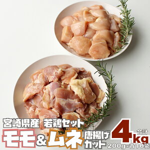 yӂ邳Ɣ[Łzᒹ  l g Jbg v4kgi200g×e10Pjv20pbN {茧Y { g؂ `L Ⓚ ^pbN  Y 