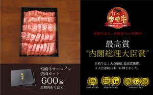 【ふるさと納税】宮崎牛サーロイン焼肉600g約6〜7人前霜降りbbq和牛牛肉送料無料