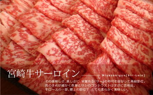 【ふるさと納税】宮崎牛サーロイン焼肉600g約6〜7人前霜降りbbq和牛牛肉送料無料