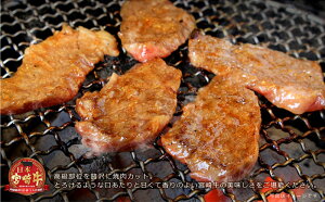 【ふるさと納税】宮崎牛サーロイン焼肉600g約6〜7人前霜降りbbq和牛牛肉送料無料