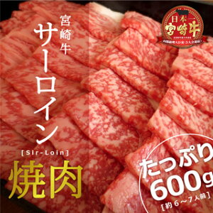 【ふるさと納税】宮崎牛サーロイン焼肉600g約6〜7人前霜降りbbq和牛牛肉送料無料