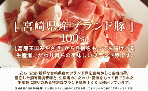 【ふるさと納税】ブランド豚宮崎県産豚普段使いセット3kg大容量豚肉ヒレとんかつバラスライスローススライスモモウデ生姜焼き用スライスこま切れ国産冷凍小分け詰め合わせ送料無料