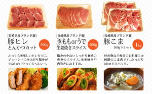 【ふるさと納税】ブランド豚宮崎県産豚普段使いセット3kg大容量豚肉ヒレとんかつバラスライスローススライスモモウデ生姜焼き用スライスこま切れ国産冷凍小分け詰め合わせ送料無料