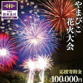 【ふるさと納税】第50回やまびこ花火大会応援寄付金 西米良村応援寄付金 100,000円 花火大会 夏 夏祭り 祭り イベント 花火 打ち上げ花火 ふるさと 応援 九州 宮崎県 西米良村